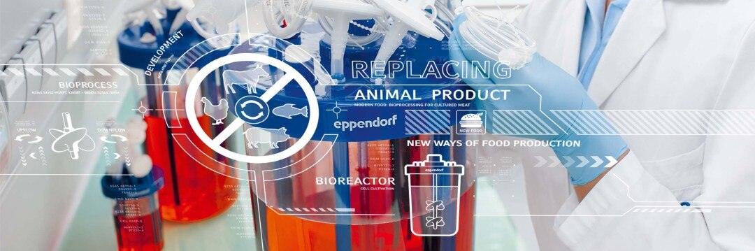 Bioreactors that can be used in the development of cutured meat