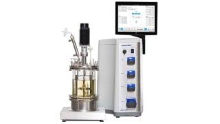 131095_730px_x_411px