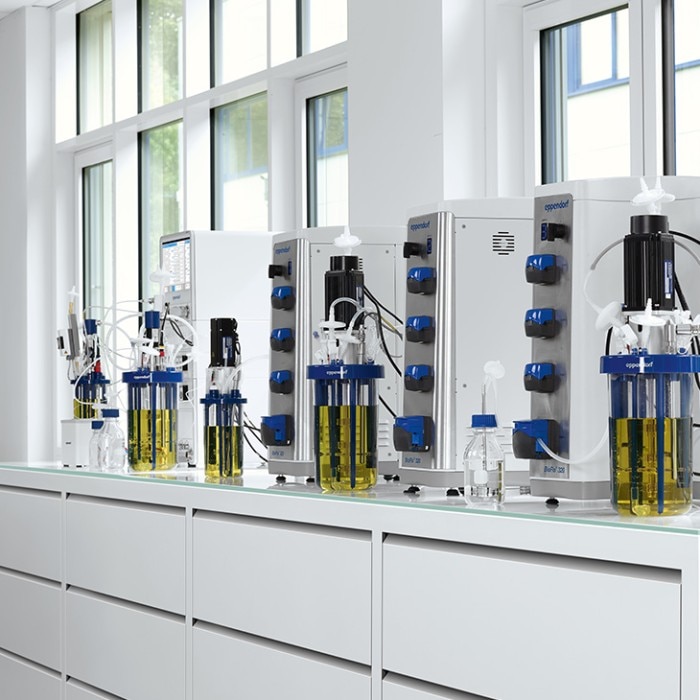 1417398_730px_x_730px