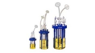 762666_350px_x_197px