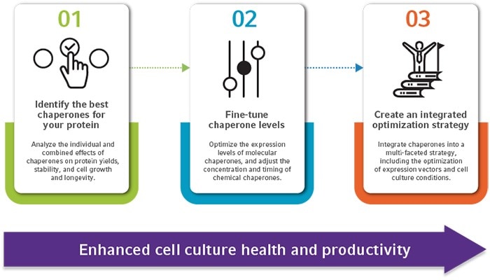 chaperone_graphic_700x400px