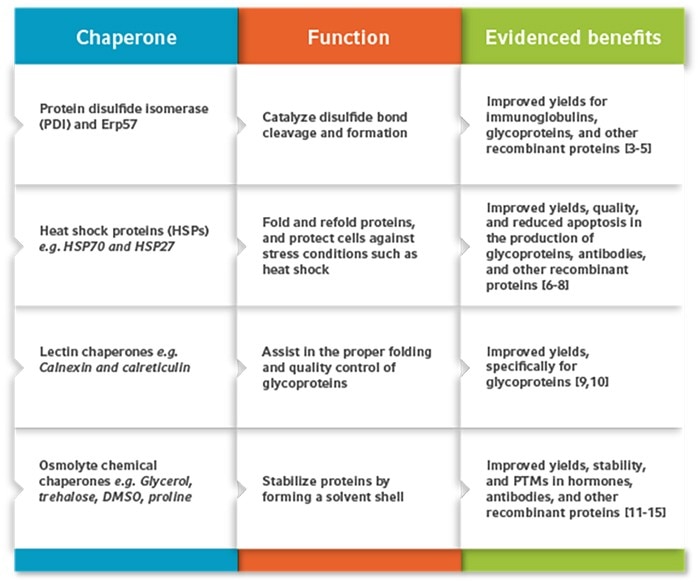 chaperone_table_700x582px