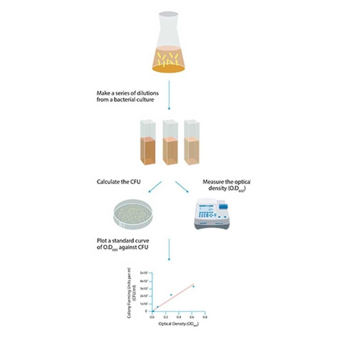 Bacterial cell counting – Optical density (OD) measurement