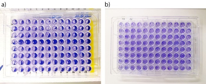 assay_ab_text_fs_1260px