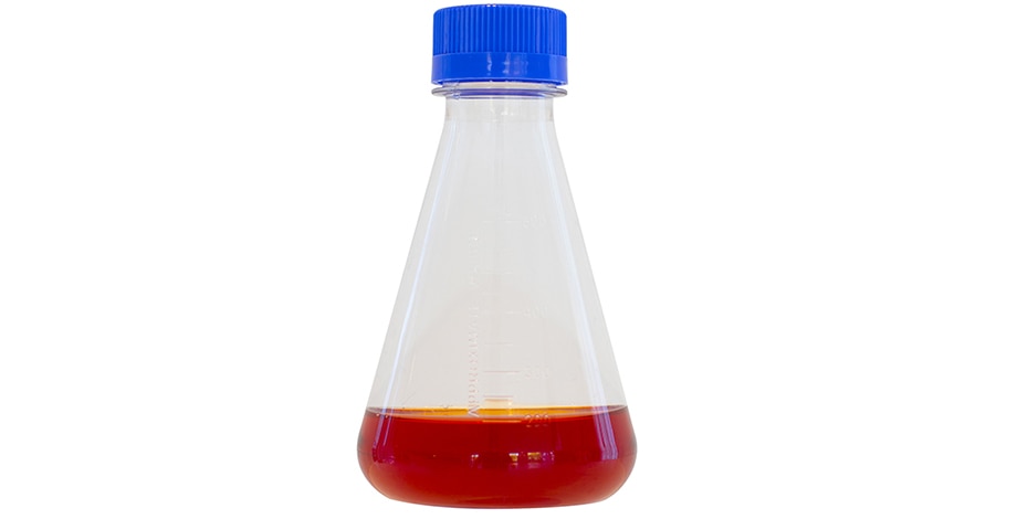 Shake flask with cell culture medium Shake flask with cell culture medium