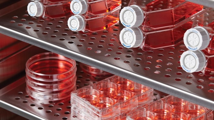 cellculture_news
