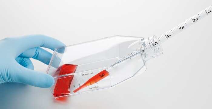 news_webinar_proper_pipetting