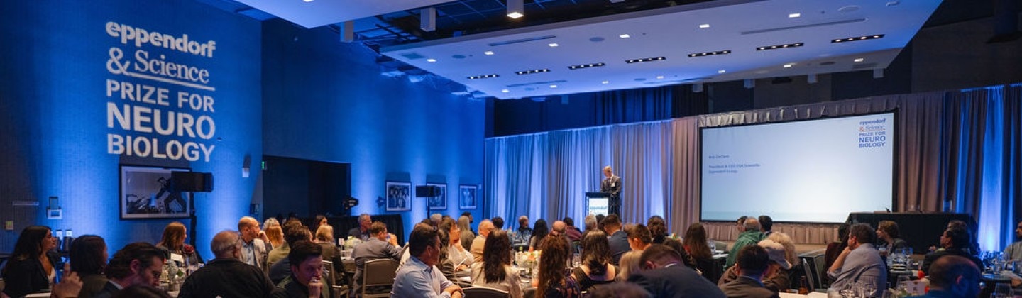 stage_scientific_awards