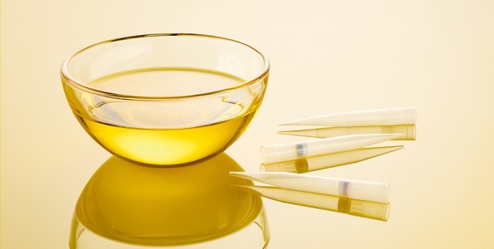epTIPS BioBased epTIPS BioBased with bowl of oil