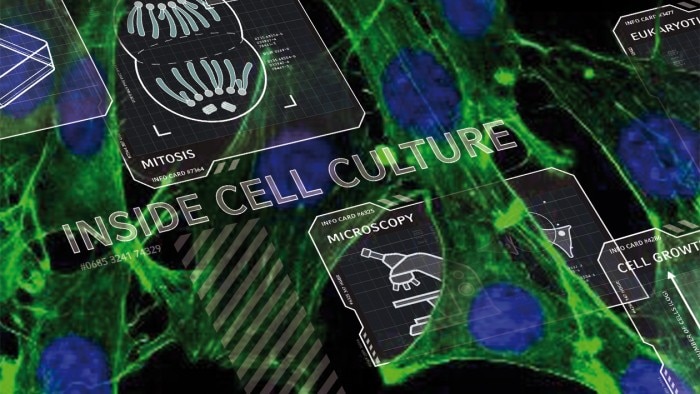 teaser_nl_cell_1260x709