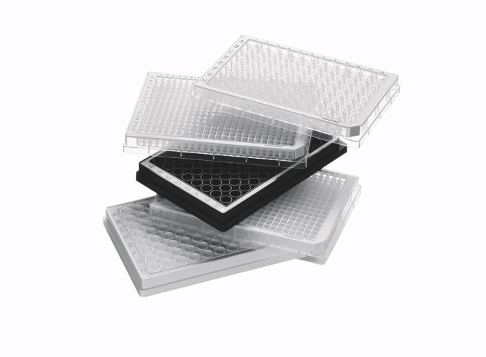 gross__mtp_group_stacked_4_