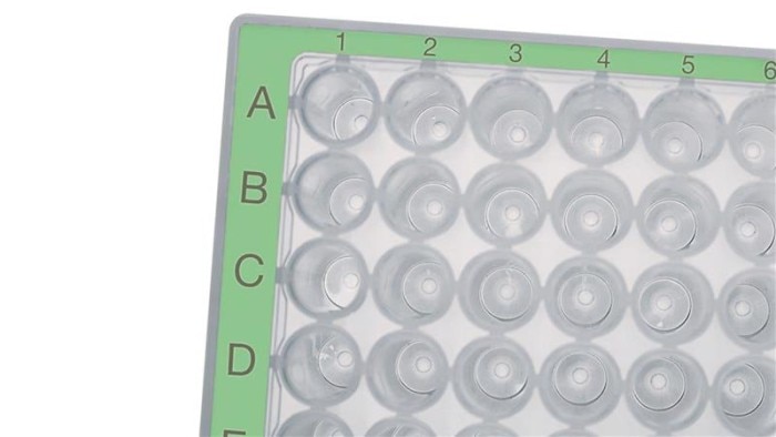subcategory_plates_teaser