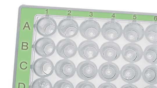 green_plates_dwp_green_detail_2