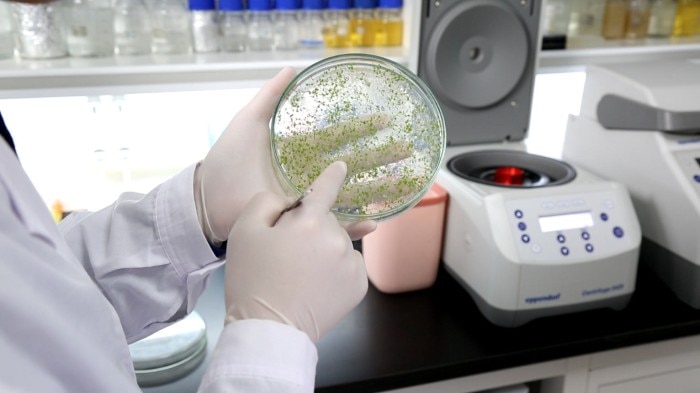 cn_encounter_in_lab_qinghua_lab