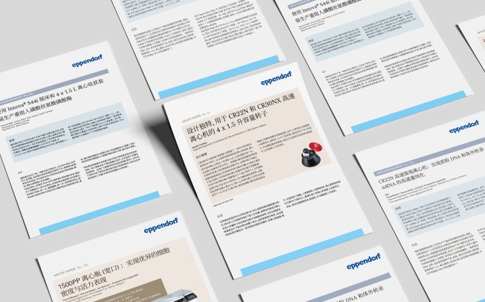 cn_fs_documents_gray