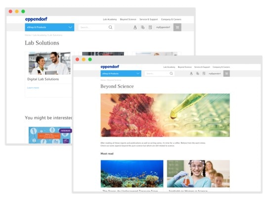 Screenshot of website showing new content on example pages