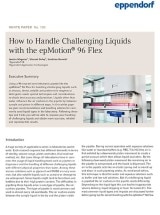 white_paper_100_thumbnail