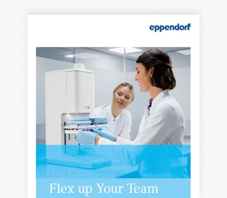 flex_up_your_team_brochure_thumb