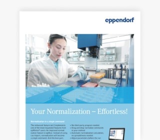 download_your_normalization_effortless_flyer