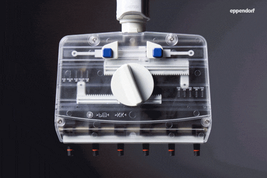 Move It® Adjustable Tip Spacing Pipettes: Transparent Lower Part in Action (GIF, Frontal View)