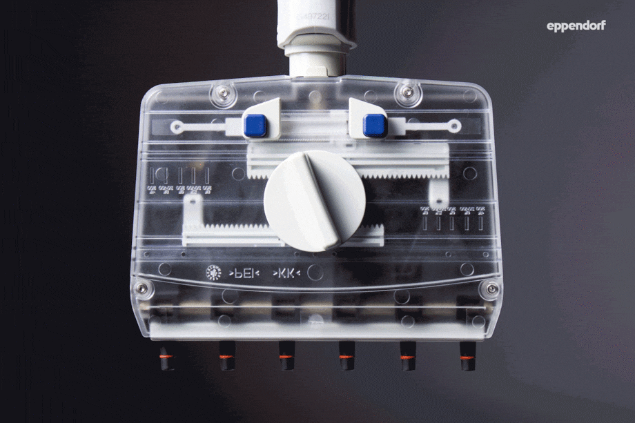 Move It® adjustable tip spacing multi-channel pipettes work without any tubing connections between cone and piston-cylinder system Move It_REG_ Adjustable Tip Spacing Pipettes: Transparent Lower Part in Action (GIF, Frontal View)