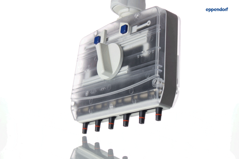 Easily and quickly adjust tip spacing with a manual adjustment knob Move It_REG_ Adjustable Tip Spacing Pipettes: Transparent Lower Part in Action (GIF, Side View)
