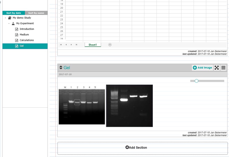Gel Documentation Screenshot of eLABJournal software, showing a gel photo within the electronic lab notebook