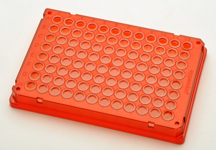 twin.tec PCR Plate 96 skirted red_3 twin.tec PCR Plate 96: skirted red (3)