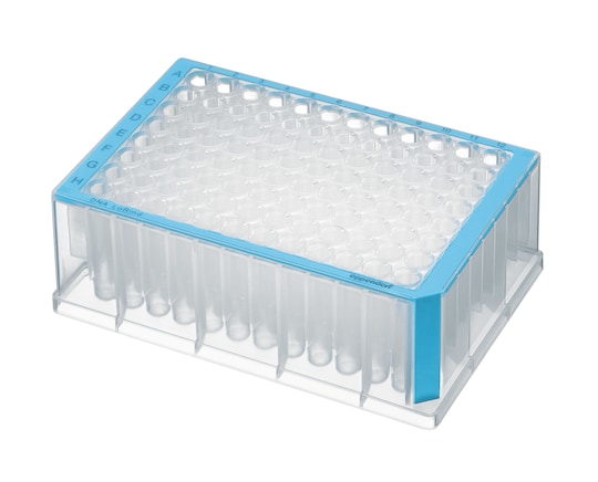 Deep well Eppendorf LoBind® plate with blue border