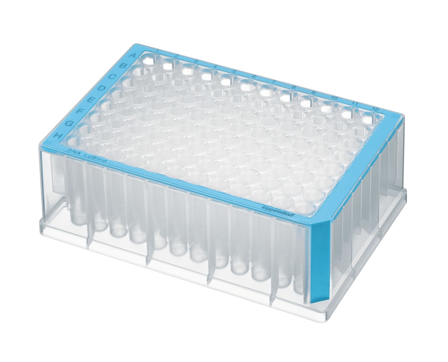 Placa de poços profundos Eppendorf LoBind® com borda azul Placa de poços profundos Eppendorf LoBind® com borda azul