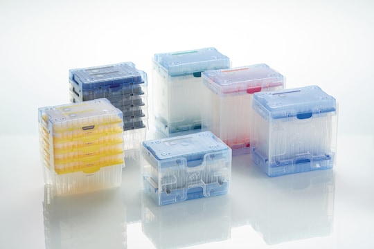 Eppendorf Pipette Tips | Premium Quality | Your Choice