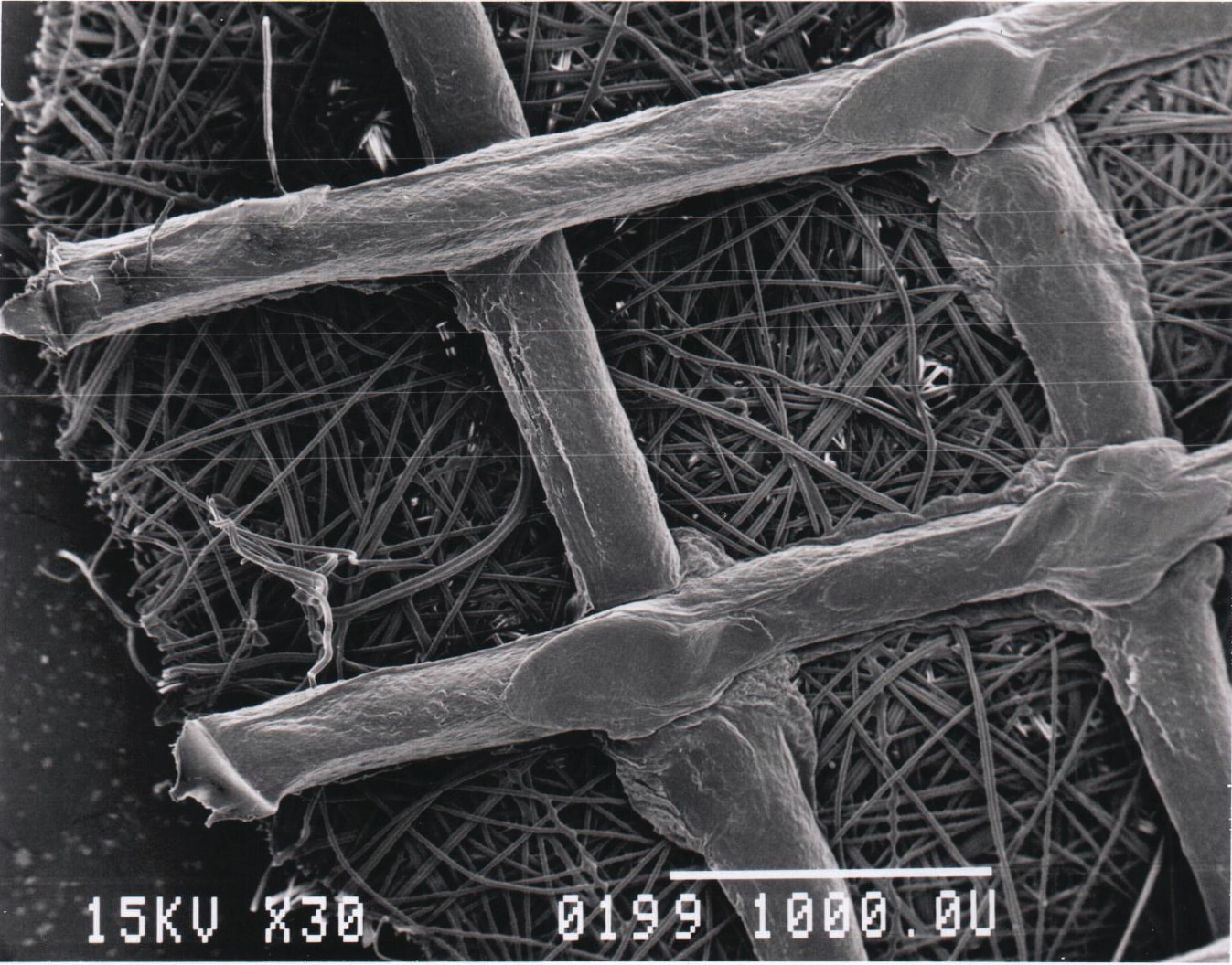 Hyper Fiber Cell Fibra-Cel® Disks