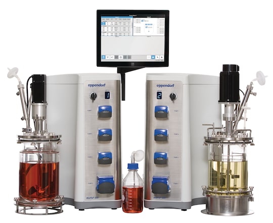 BioFlo 320 mirror set up cell culture and fermentation