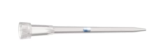 Dualfilter tip 0.5-20 µL