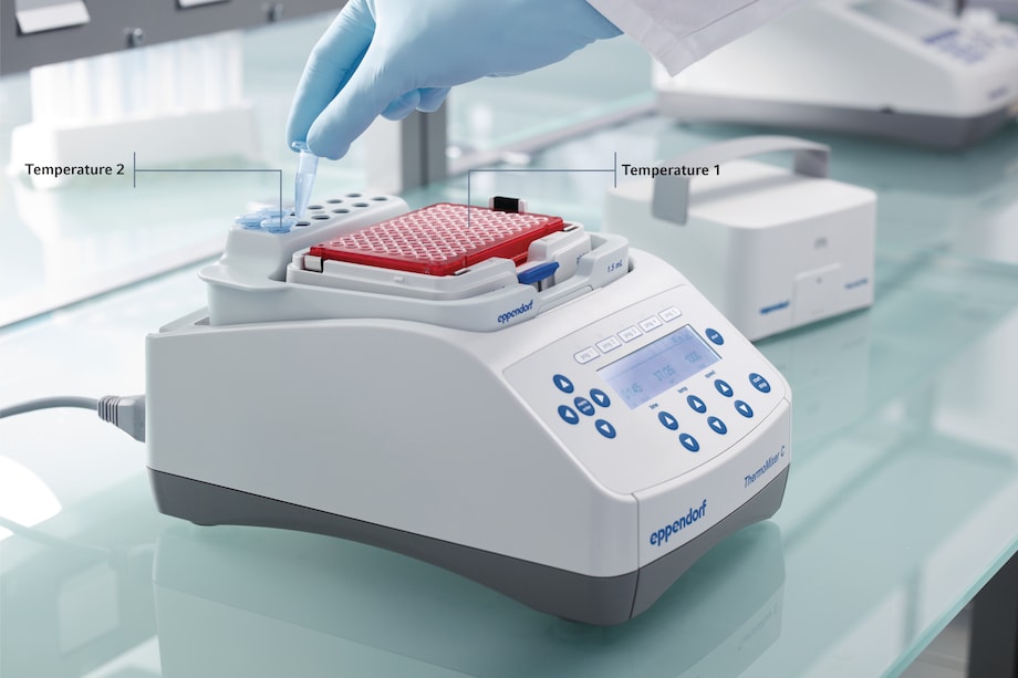 Missing a second incubation temperature?