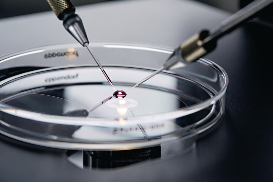 Micropipettes, Microcapillaries Micropipettes, Microcapillaries