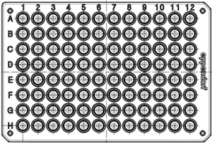 Deepwell Plates 2000