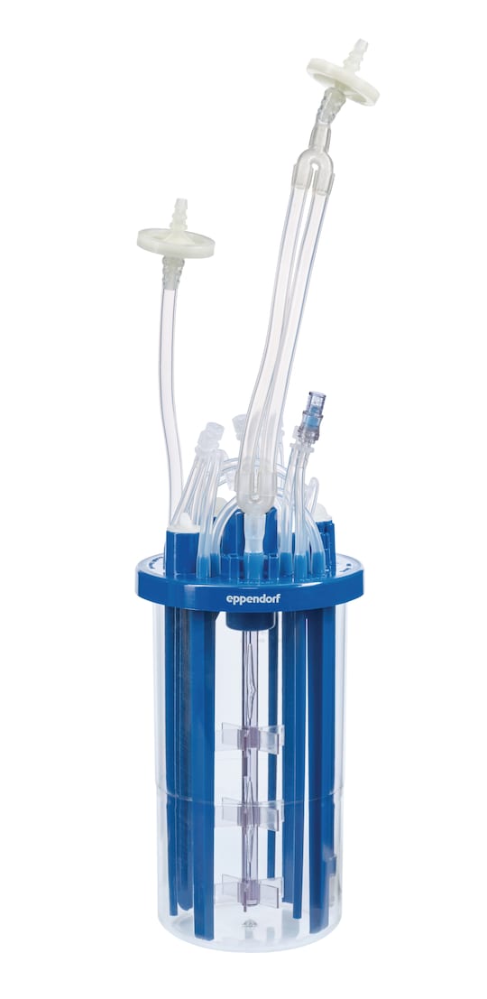 BioBLU f Single-Use Bioreactors for fermentation applicationsFermentation vessel for microbiological applications from E. coli to yeast.