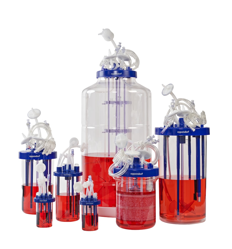BioBLU c Single-Use Bioreactors Group 0.3c, 0.3sc,1c, 3c, 5p, 10c, 50c, cropped