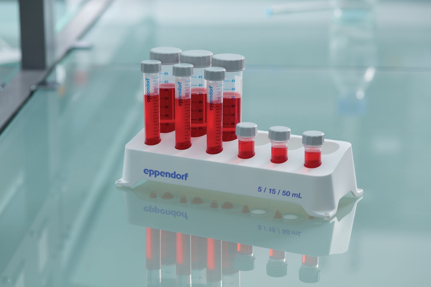 Eppendrof Tube Racks Eppendorf Tube RacksとEppendorf Cuvette Rack