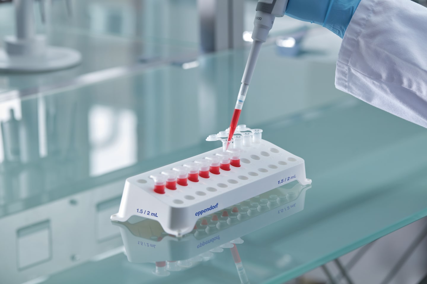 Eppendorf Tube Racks and Eppendorf Cuvette Rack