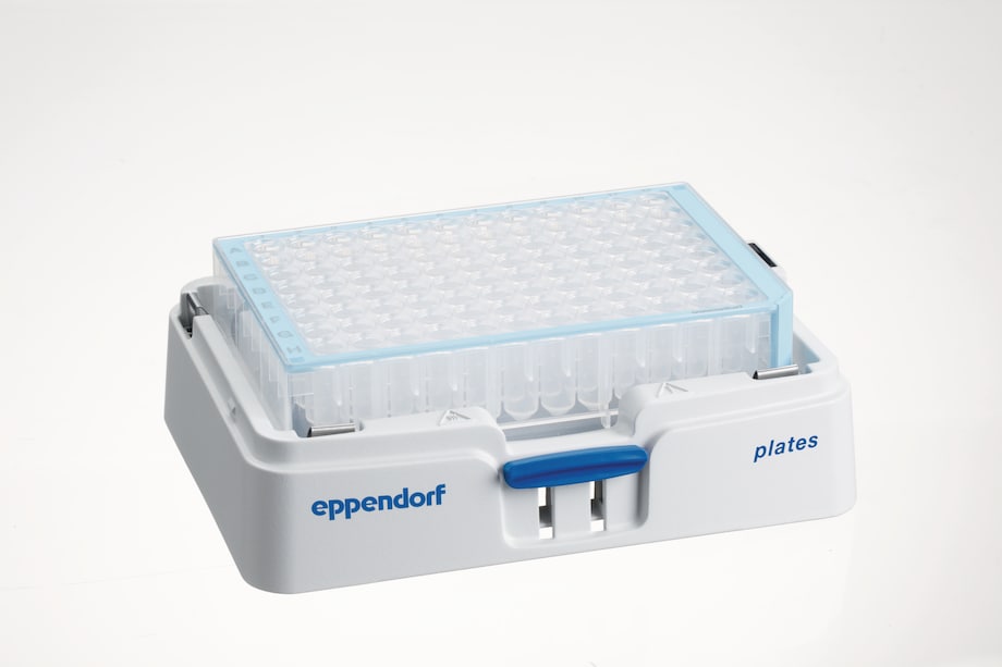 プレート用エッペンドルフSmartBlock 白と青のDWP含Eppendorf SmartBlock for plates