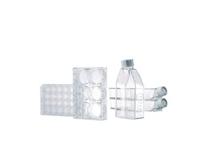 CCCadvanced FN1 Flasks, Plates family, white background