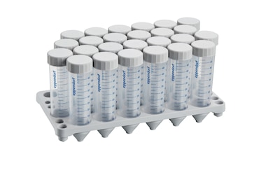 Conical Tubes 50 mL racked, 1