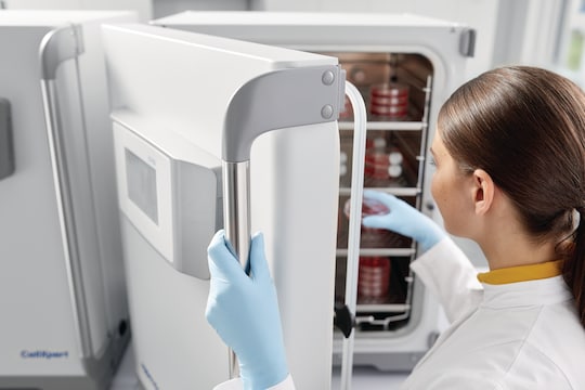 CO2 cell culture incubator CellXpert® door handle