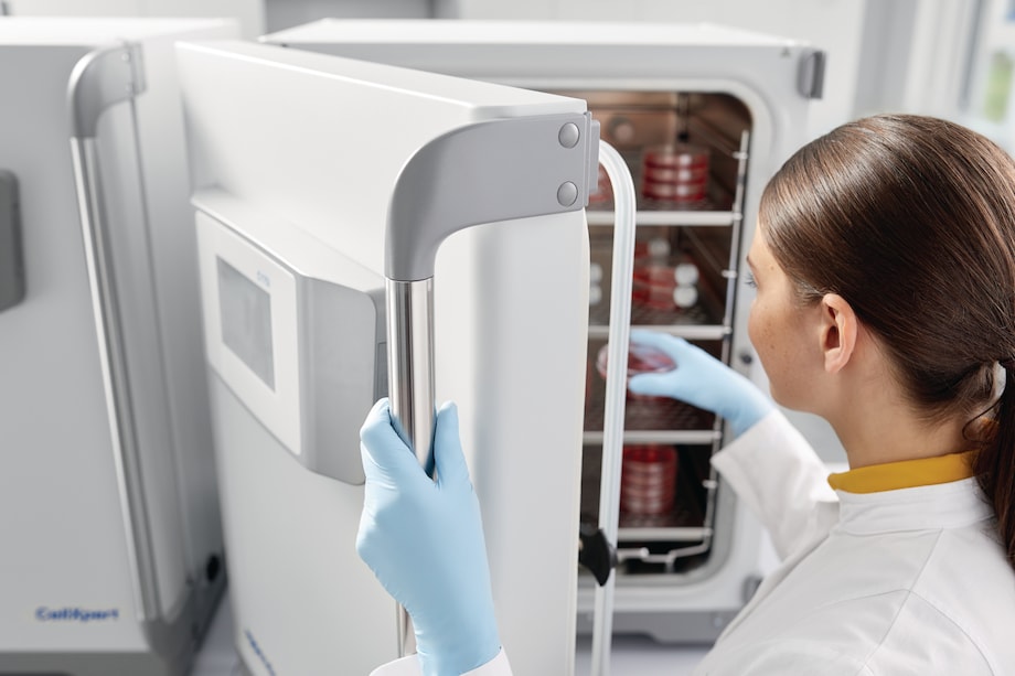 Robusta y ergonómica manija de la puerta exterior Manija de puerta del incubador de cultivos celulares de CO2 CellXpert®