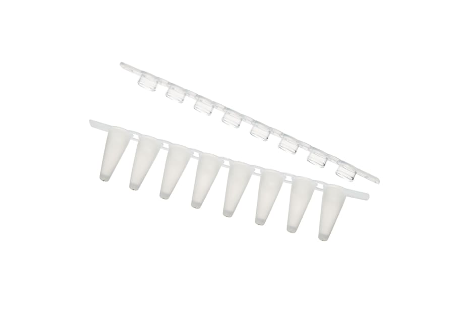 An Eppendorf Fast PCR Tube Strip with a caps strip An Eppendorf Fast PCR Tube Strip with a caps strip