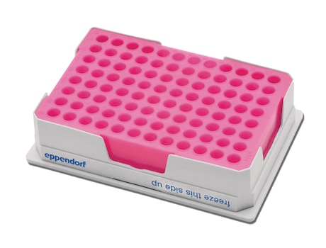 Der Eppendorf PCR-Cooler (pink)
