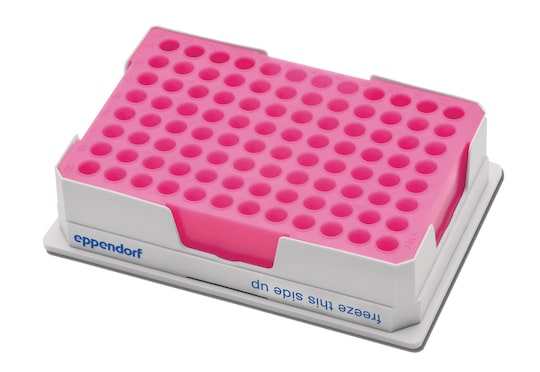 The Eppendorf PCR-Cooler (pink)