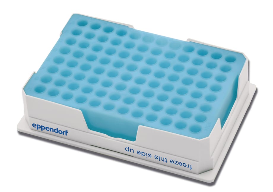 Eppendorf PCR-Cooler L'Eppendorf PCR-Cooler (bleu)